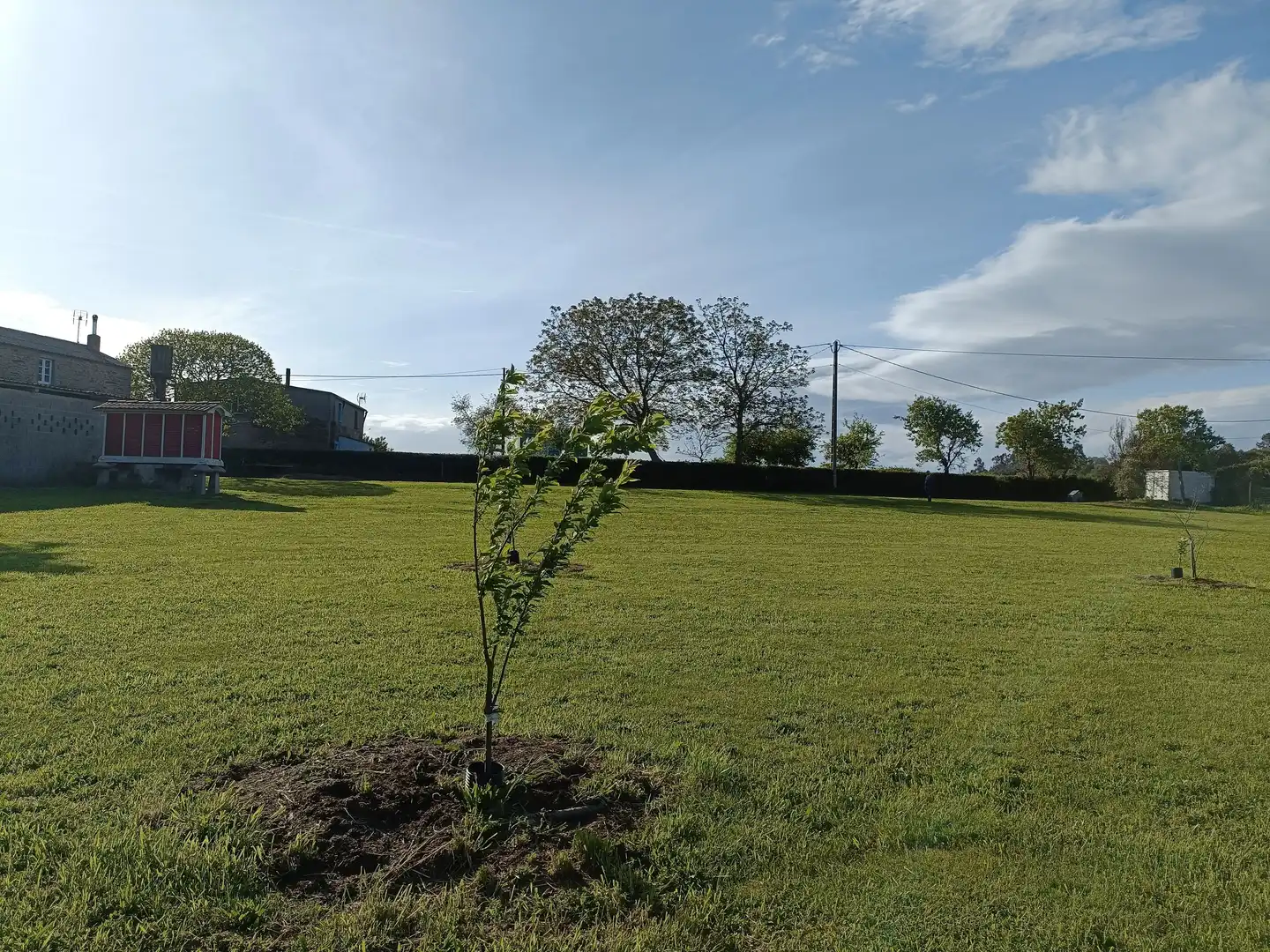 Terreno residenziale in vendita a Lugar Castelo, imagen 4
