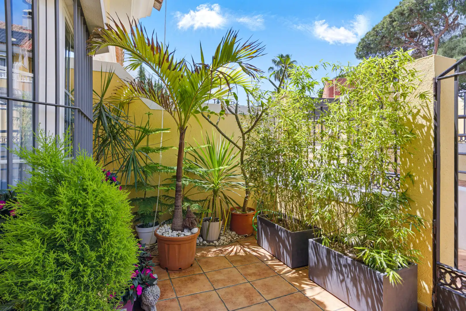 Detached homes for sale in Calahonda