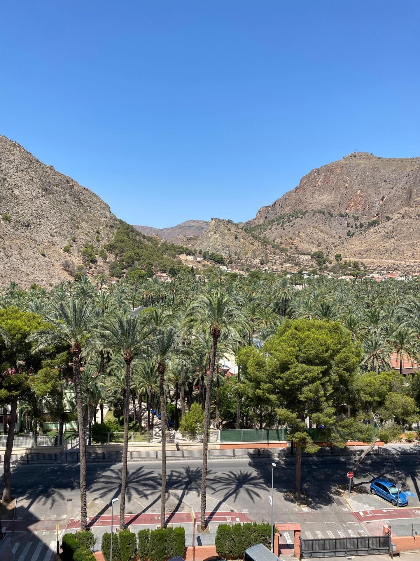 Flat to share in Orihuela ciudad, Orihuela