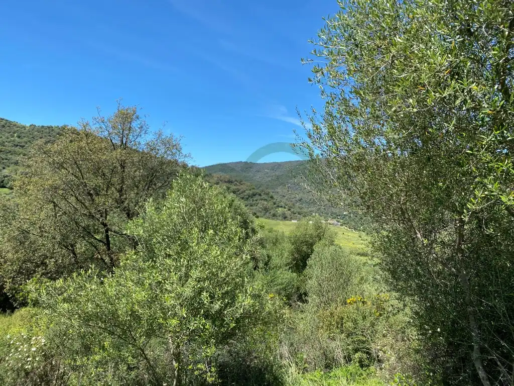 Casa rústica en venda a Gaucín, imagen 11