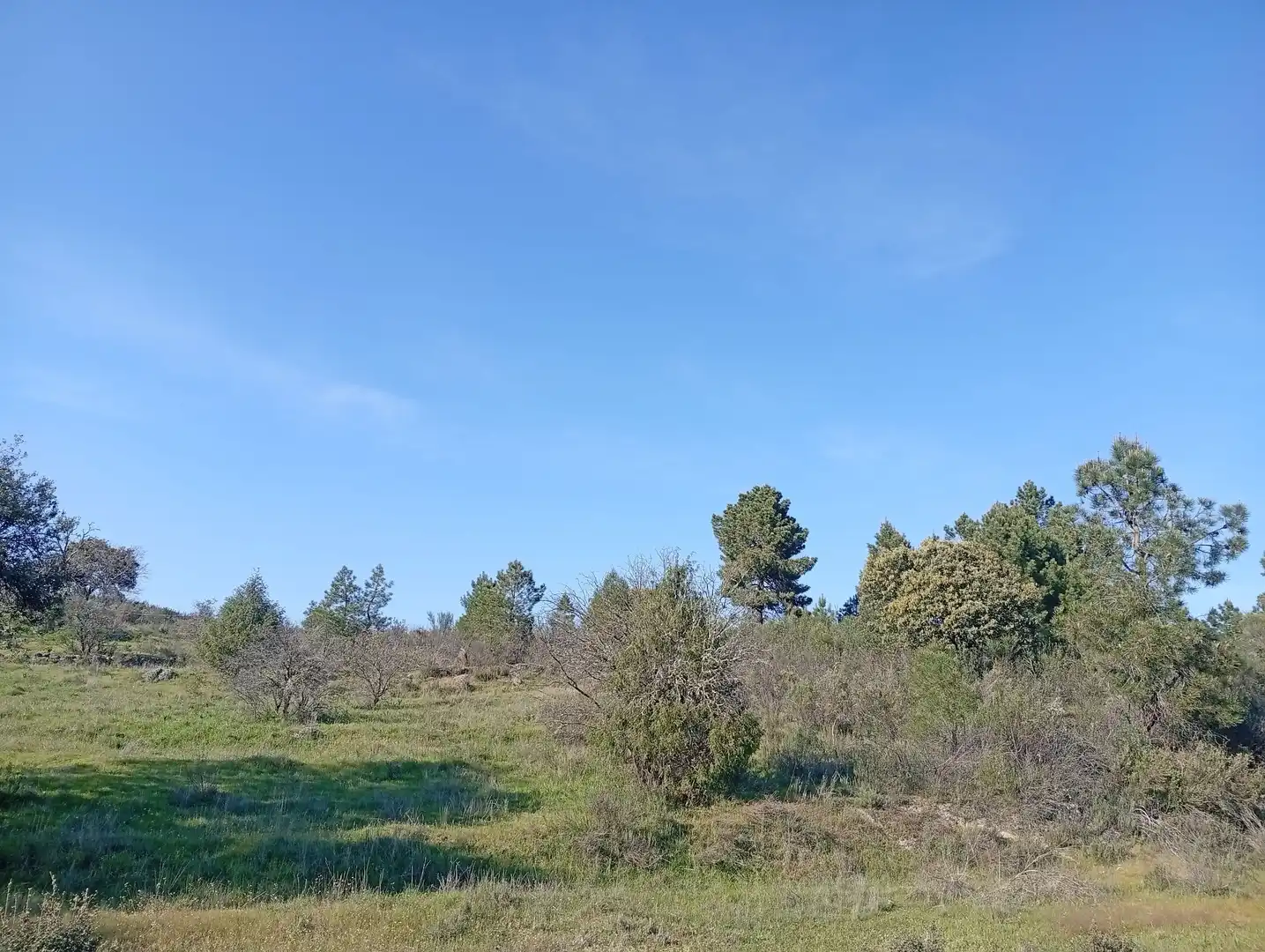 Terreni e lotti in vendita a Villanueva de la Vera, imagen 2