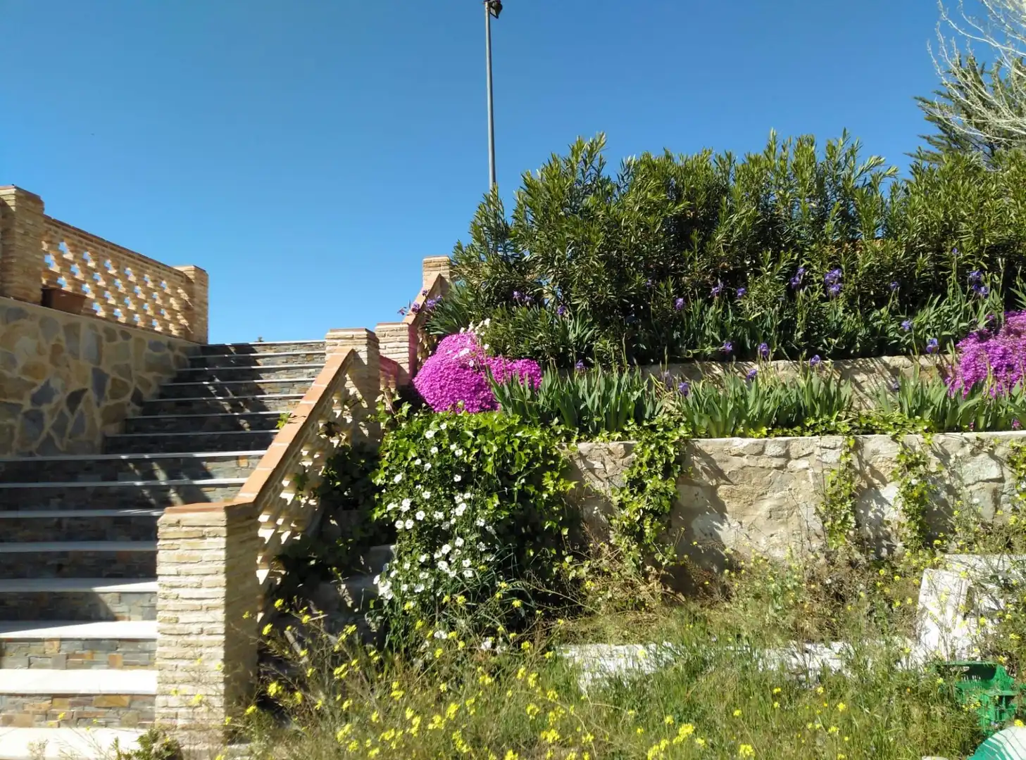 Chalet en venta en CERRO PALOS poligono 45 parcela 63, imagen 60