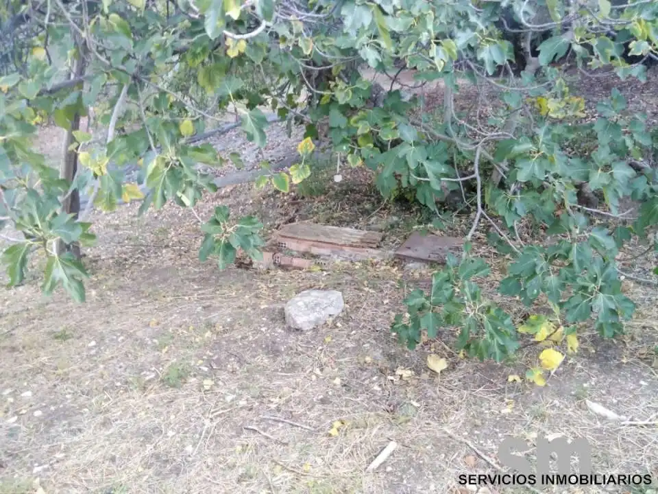 Terreno en venta en Zahara