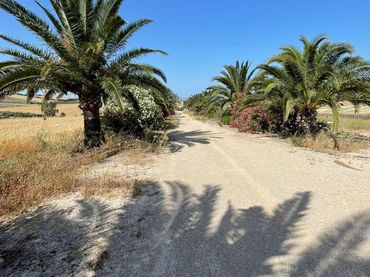 Casa rústica en venda a Arcos de la Frontera