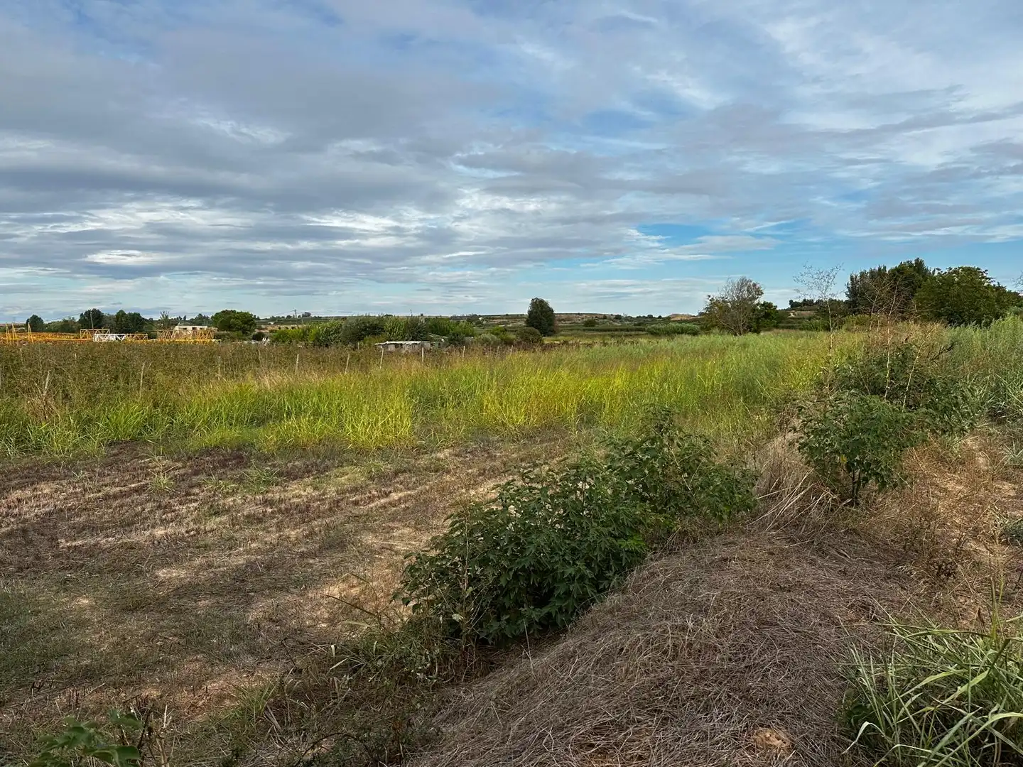 Land for sale in Albatàrrec