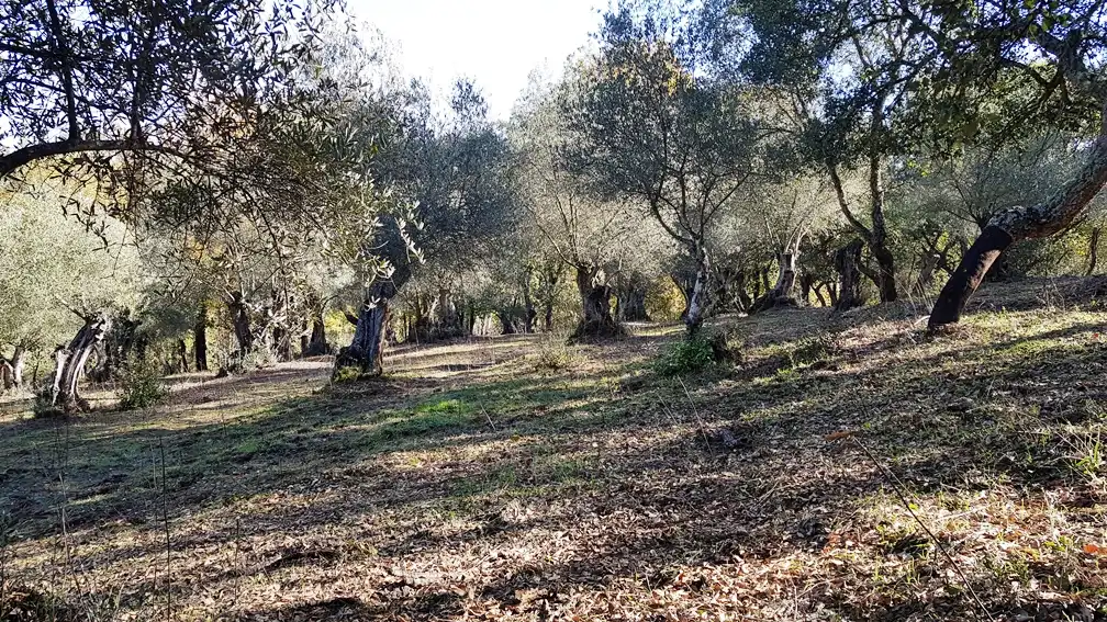 Finca rústica en venta en Galaroza con Calefacción, Jardín privado y Terraza