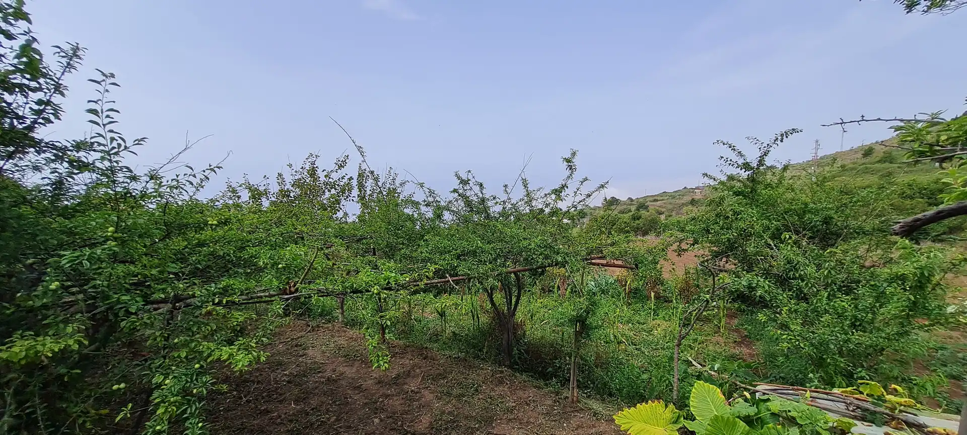 Finca rústica en venda a Icod de los Vinos pueblo