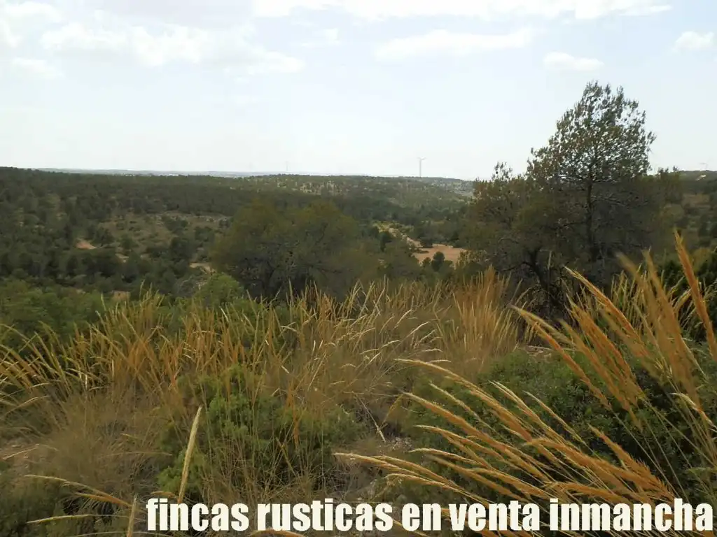 Rural land for sale in Chinchilla de Monte-Aragón