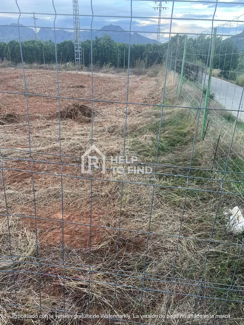 Terreno rústico en venta en Palma de Gandia, imagen 4