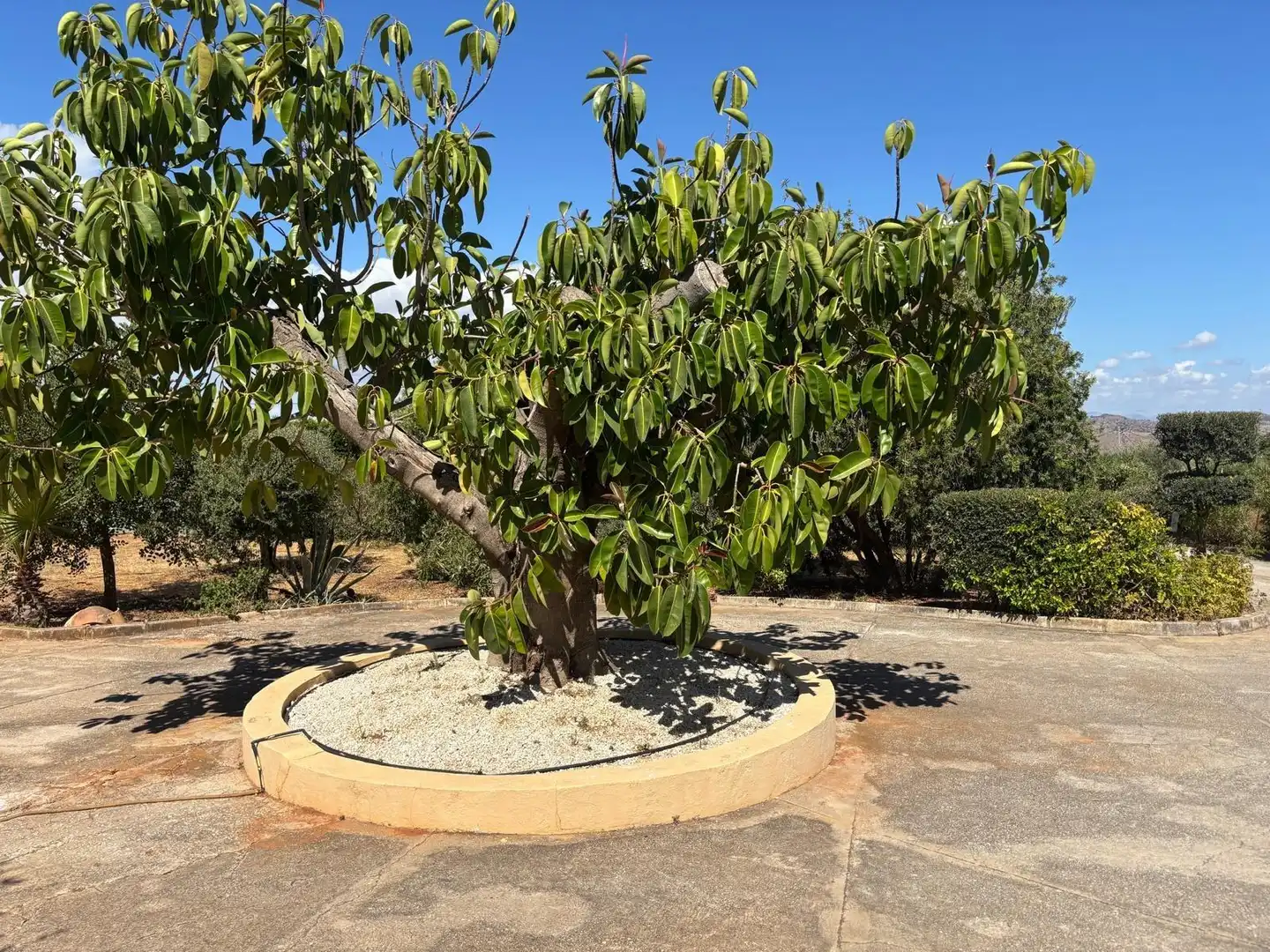 Xalet amb piscina en venda a Centro, imagen 49