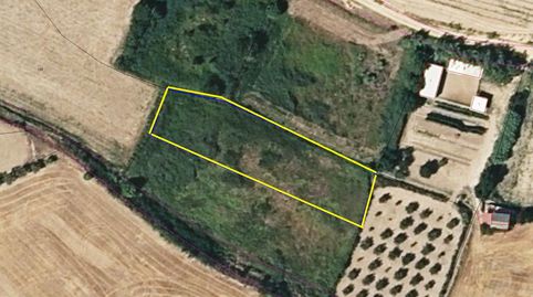 Finca de regadío
