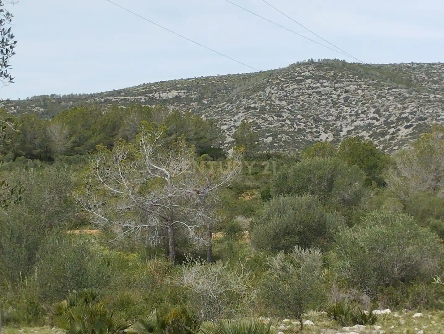 Terreny rústic en venda a poligono 3, imagen 18