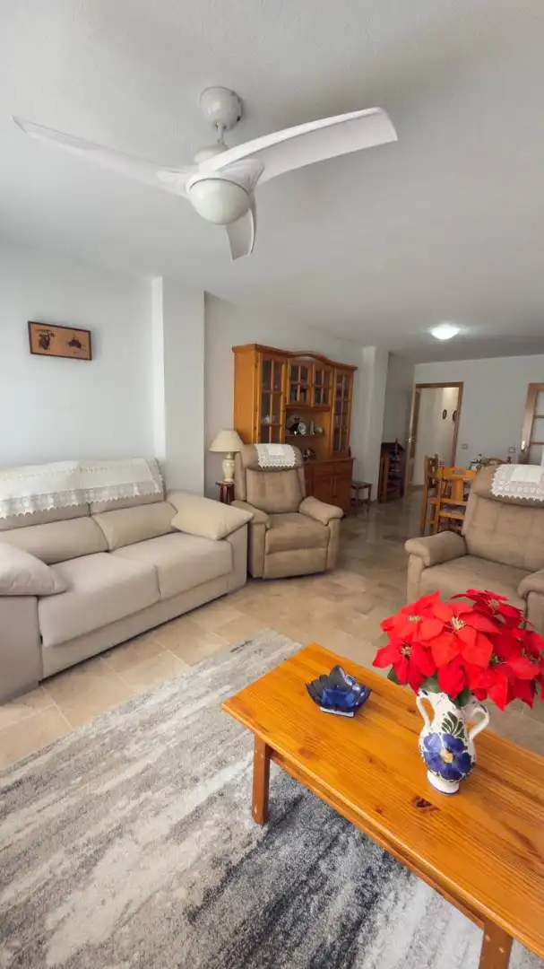 Sala d'estar de Pis en venda en Mutxamel amb Moblat