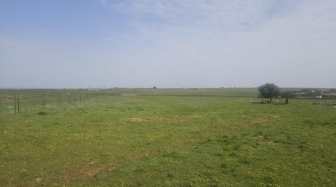 Photo 4 of Land for sale in Sierra de Fuentes, Cáceres