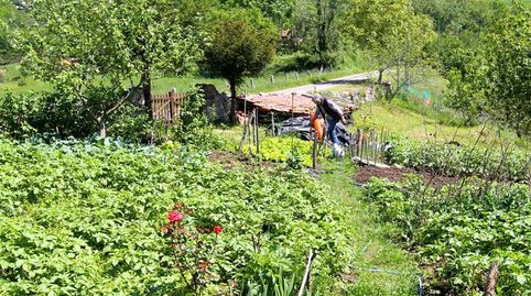 Photo 5 of Houses for sale in Lugar San Martin de Grazanes, Cangas de Onís, Asturias