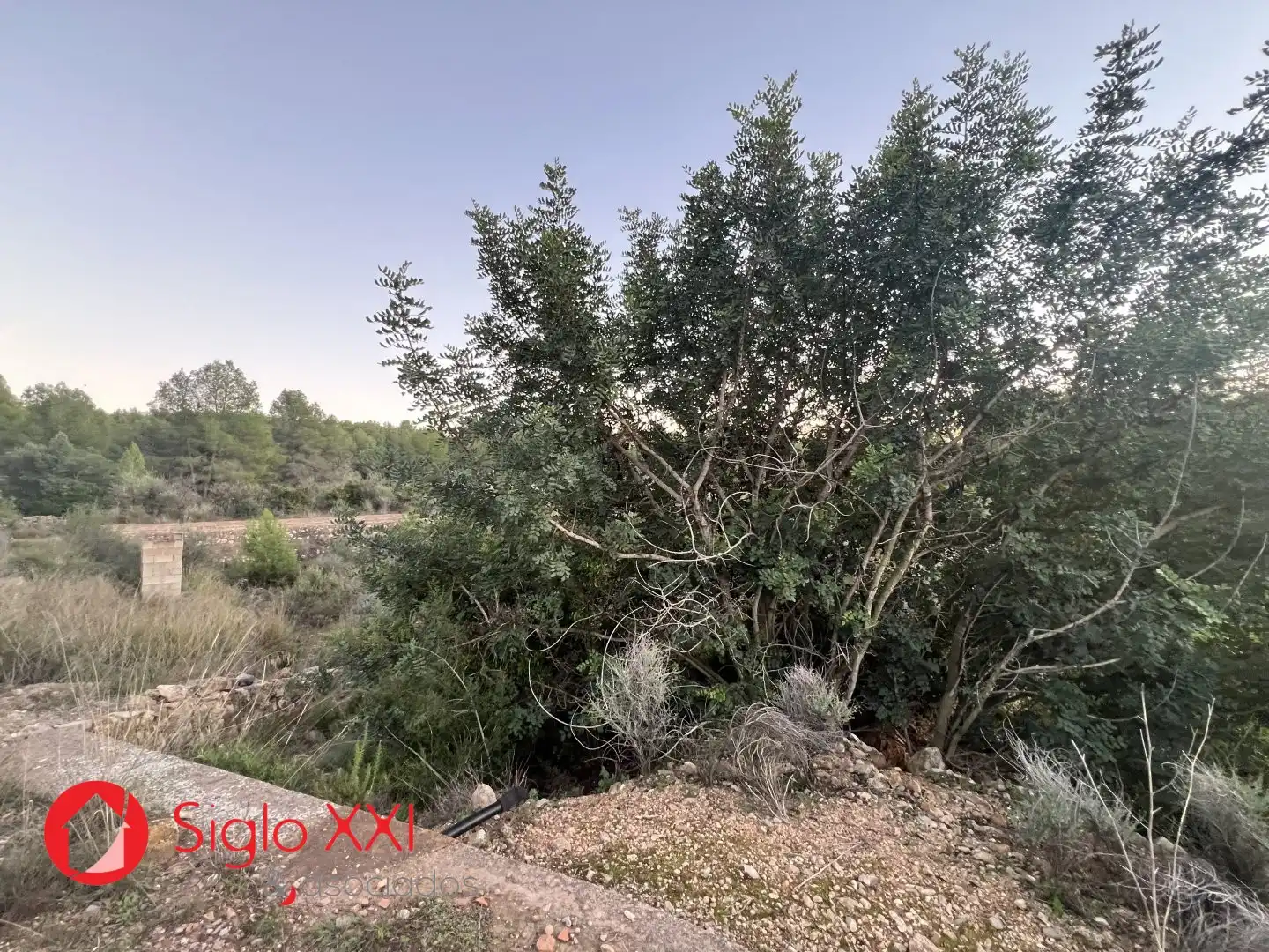 Terreni e lotti in vendita a La Vall d'Uixó, imagen 12