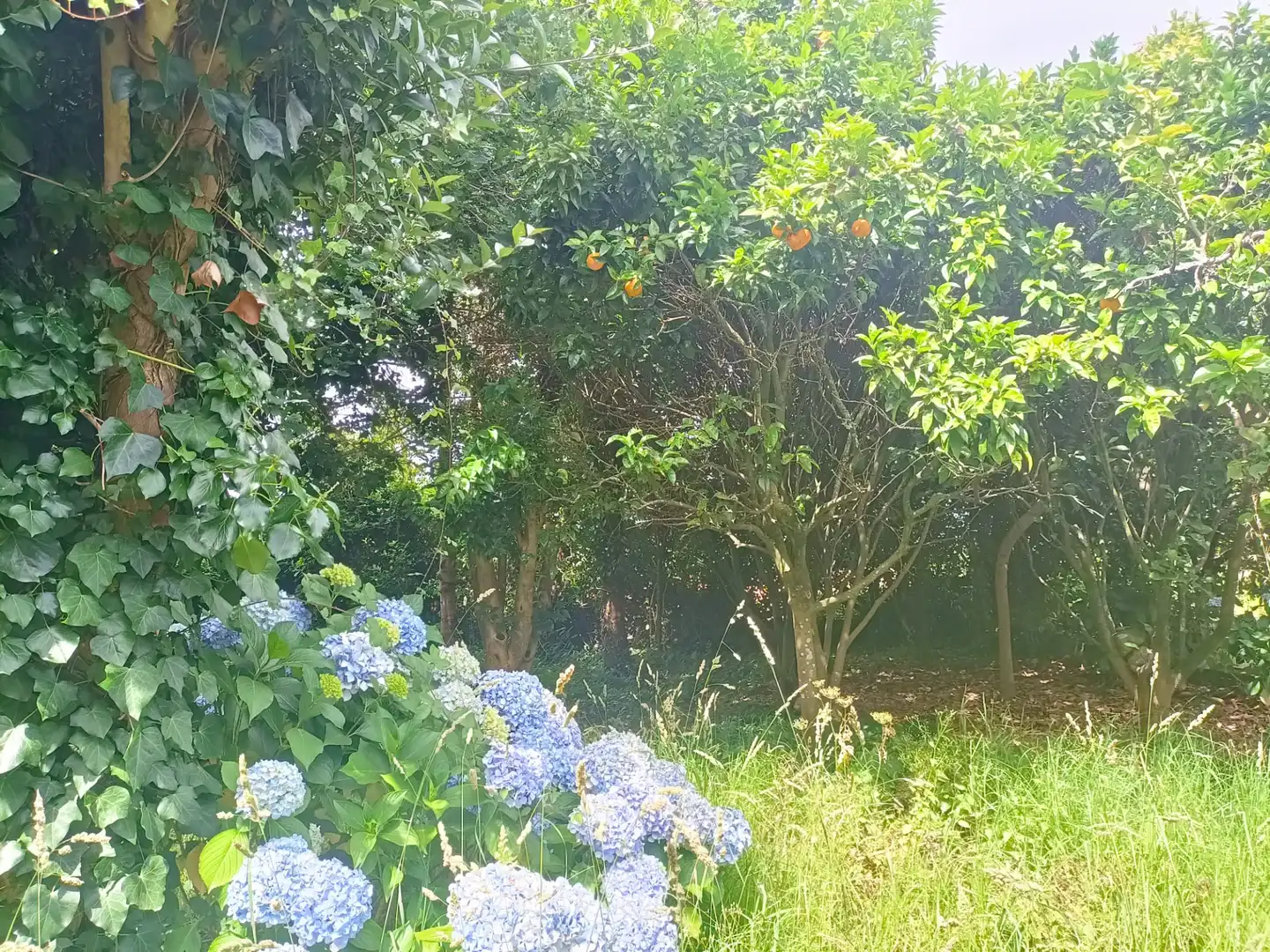 Casa o chalet de alquiler en A Guarda   con Calefacción, Jardín privado y Parquet