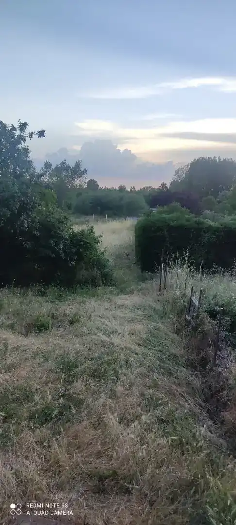 Casa o chalet en venta en Sariegos