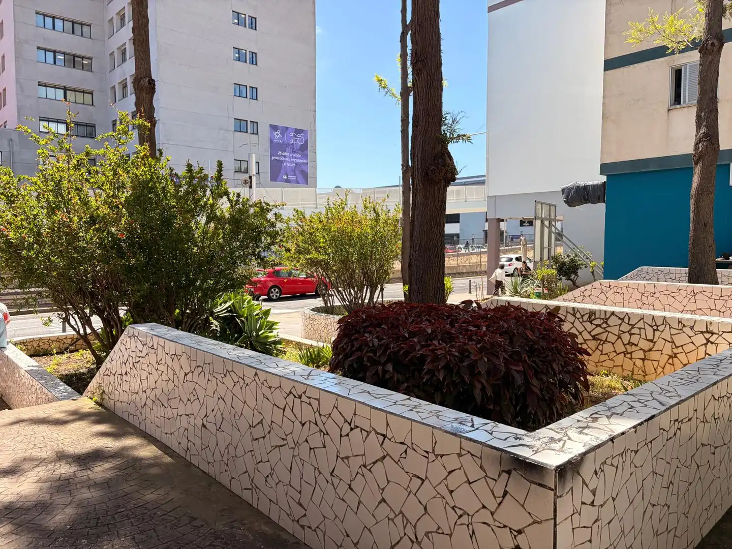 Local en venta en Avenida Trinidad, La Laguna