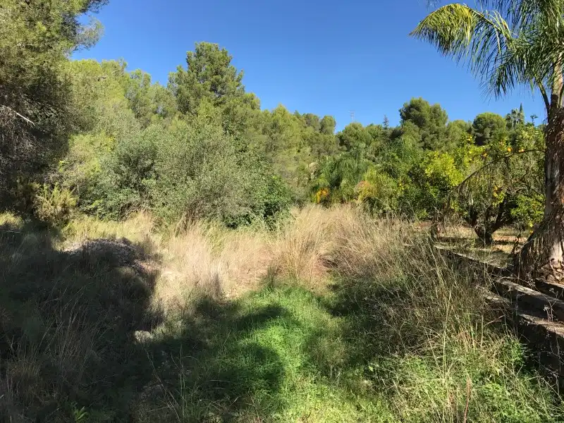 Terreno rústico en venta en Carrer Ametler, imagen 4