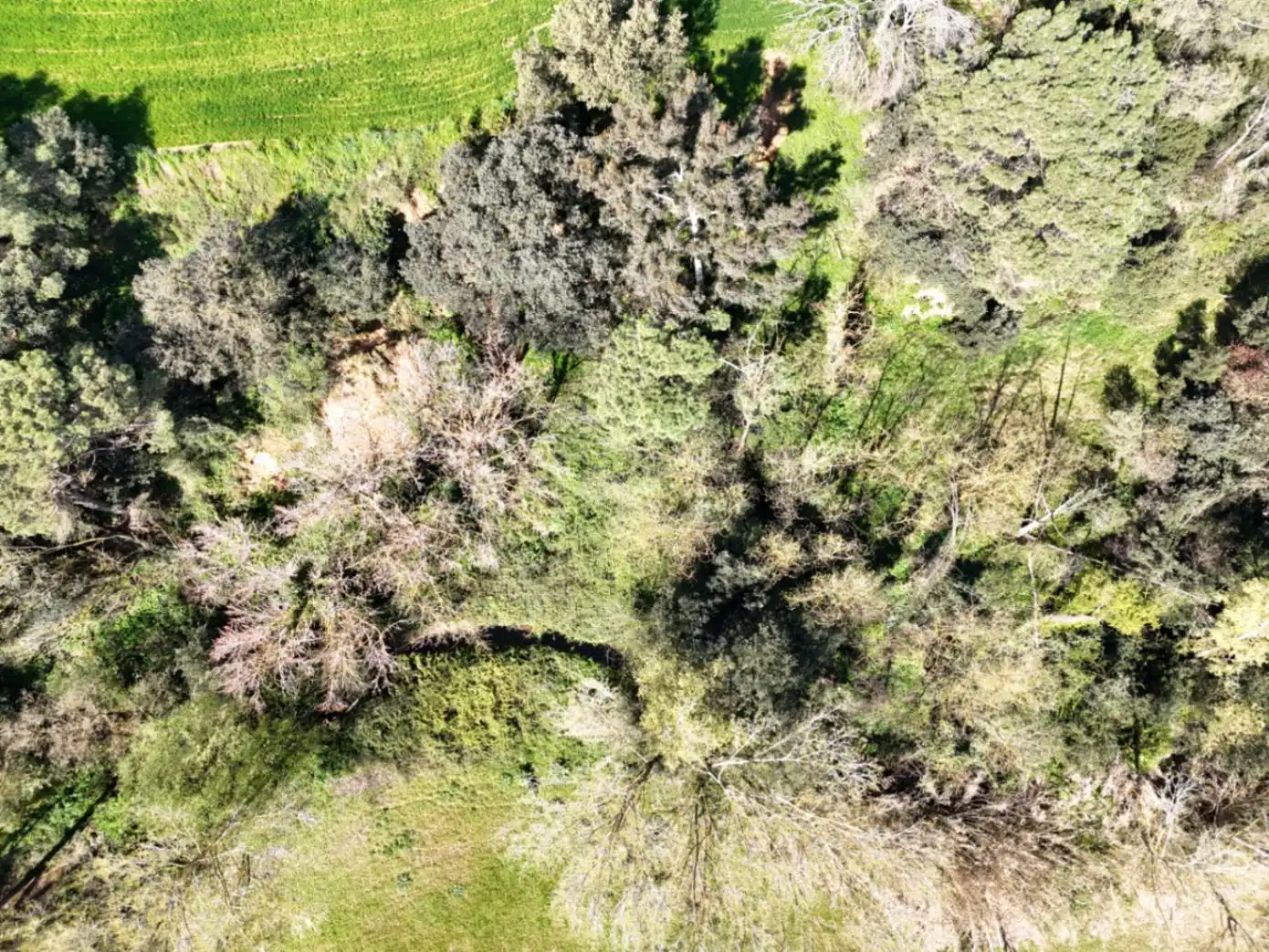 Finca rústica en venta en Sant Antoni de Vilamajor