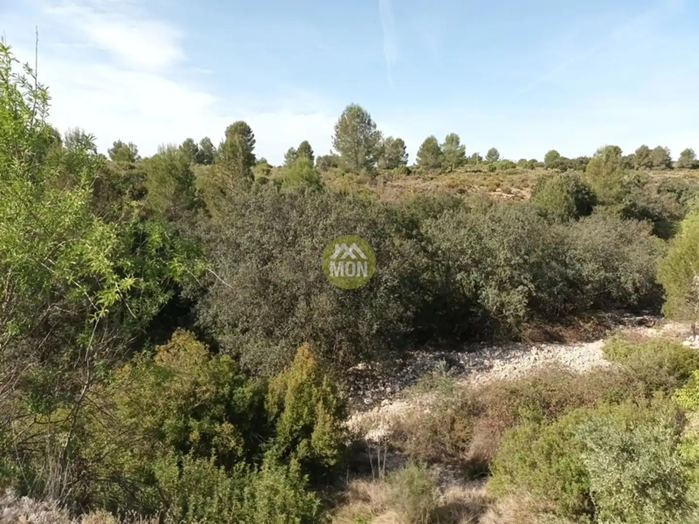 Residential land for sale in Centro, imagen 8
