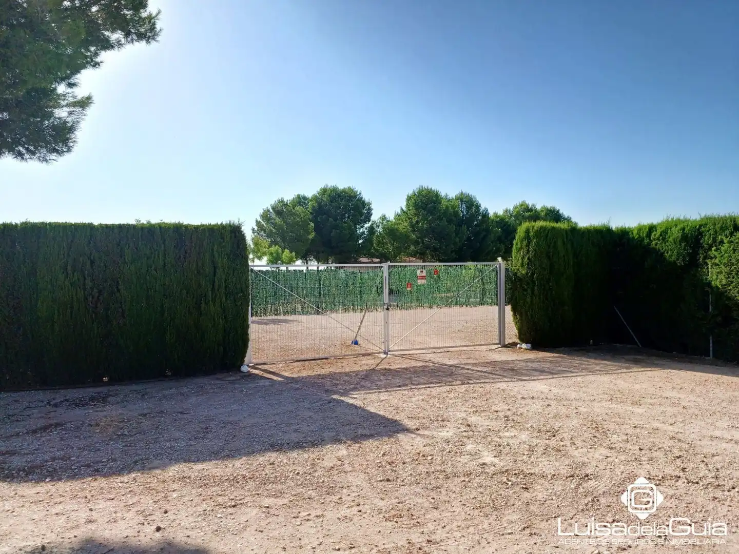 Terreno rustico in vendita a Campo de Criptana, imagen 2