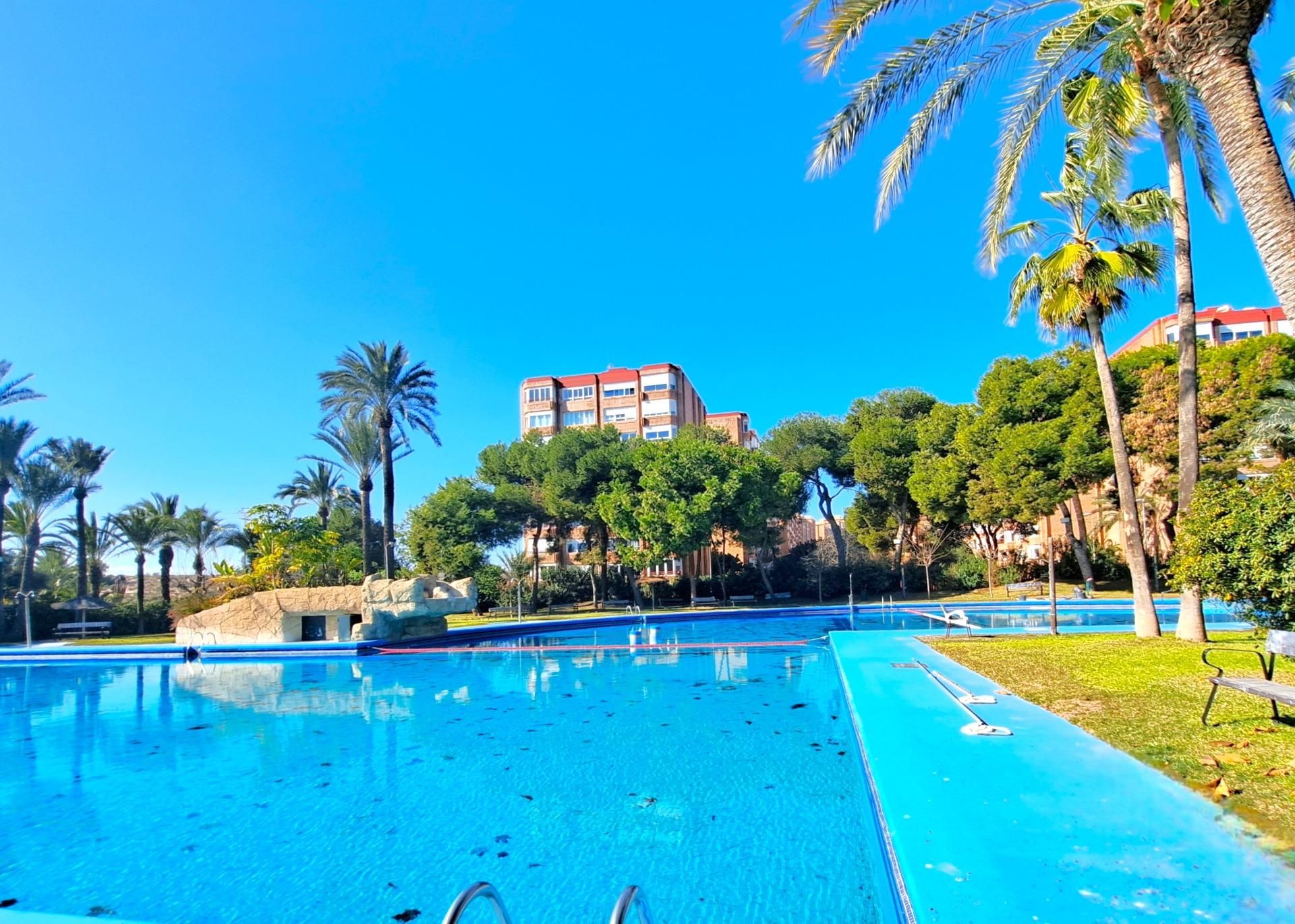 Swimming pool of Flat for sale in Alicante / Alacant  with Terrace and Community pool