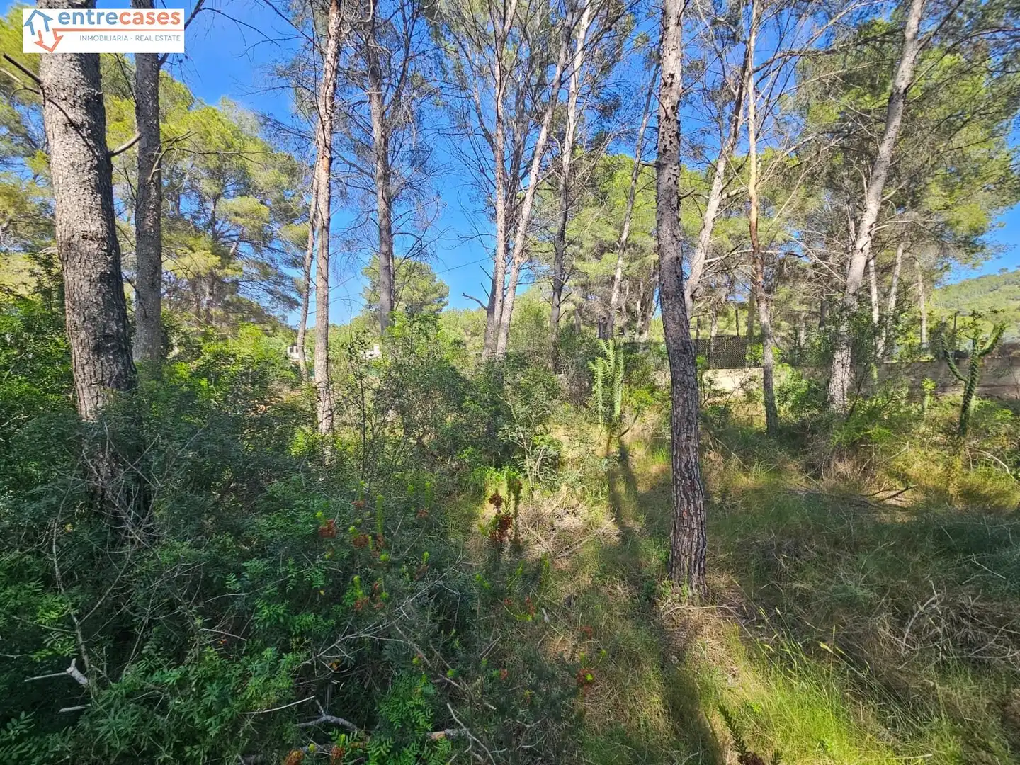 Residential land for sale in Gilet, imagen 8
