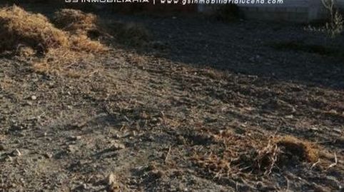 Photo 5 of Residential for sale in Moriles, Córdoba