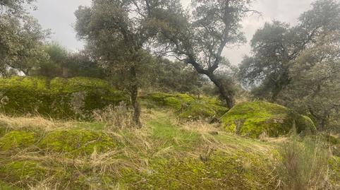 Foto 4 de Terreny en venda a La Estrella, Toledo