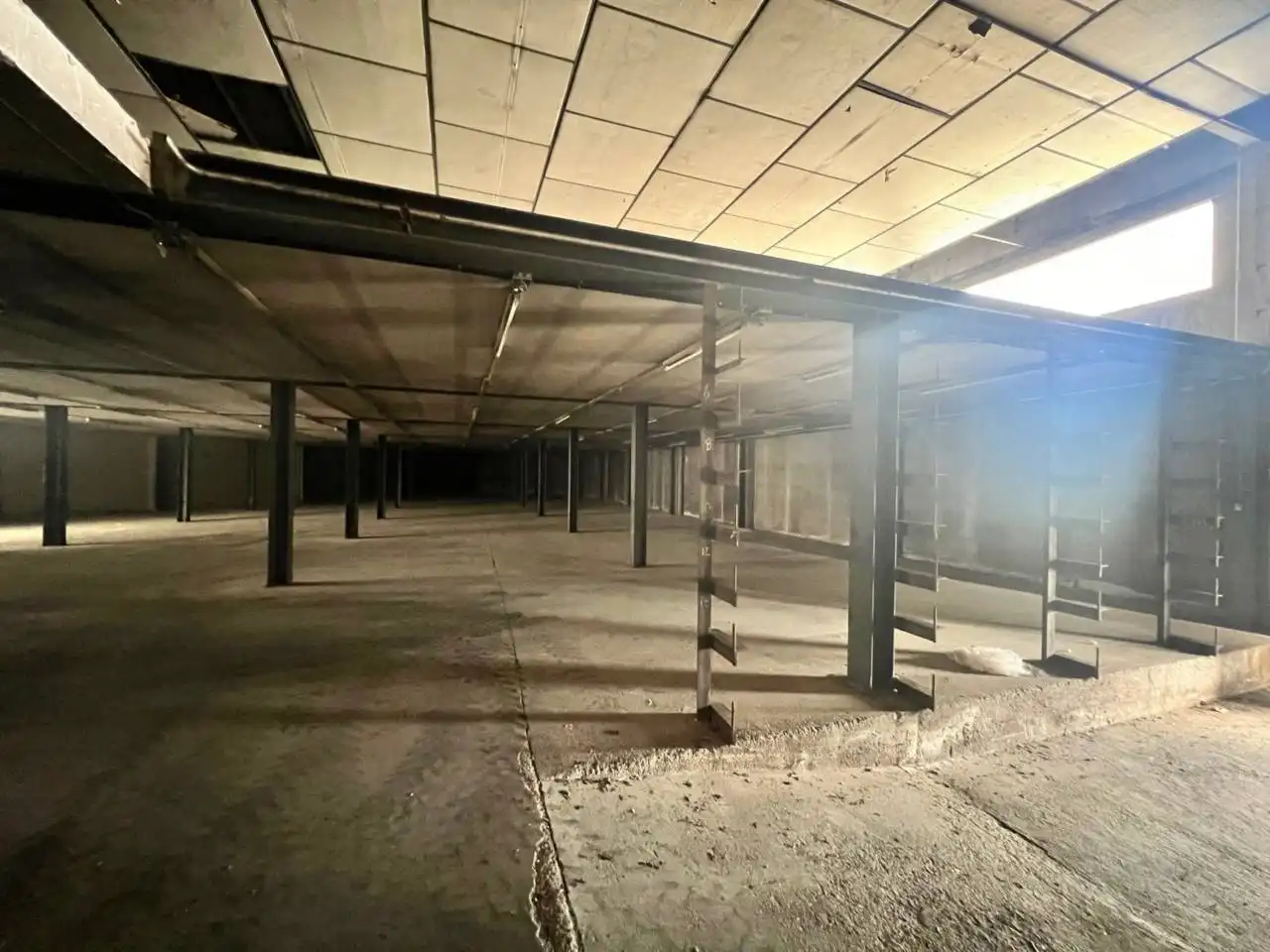 Nave industrial in affitto a Calle CARRETERA, imagen 5