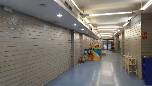 Inmuebles singulares con ascensor en venta en Avenida de Pescia 53, imagen 22
