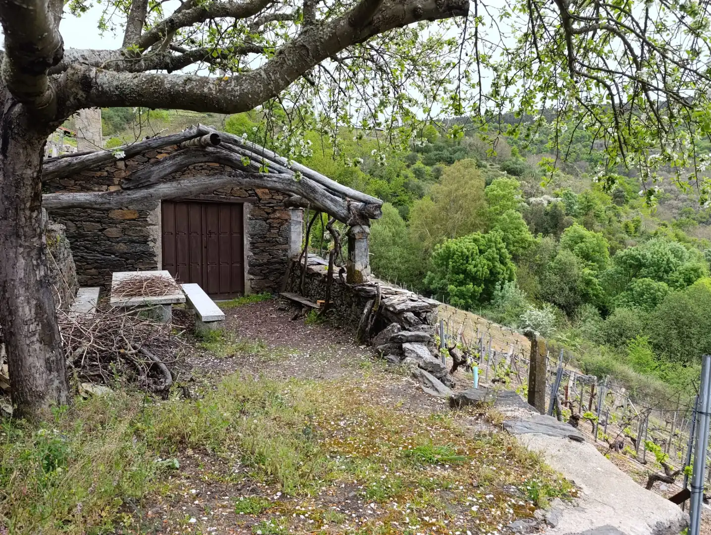 Casa rústica amb jardí en venda a O Saviñao, imagen 20