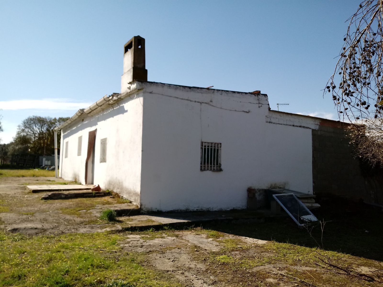 Vista exterior de Finca rústica en venda en La Coronada