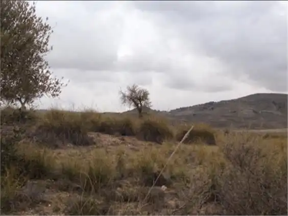 Terreno rustico in vendita a M-311 37, imagen 4