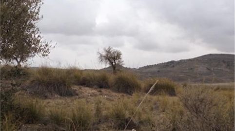 Foto 4 de Terreno en venta en M-311, 37, Chinchón, Madrid