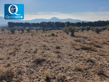 Terreno industrial en venta en Campo Alto - Club de Campo