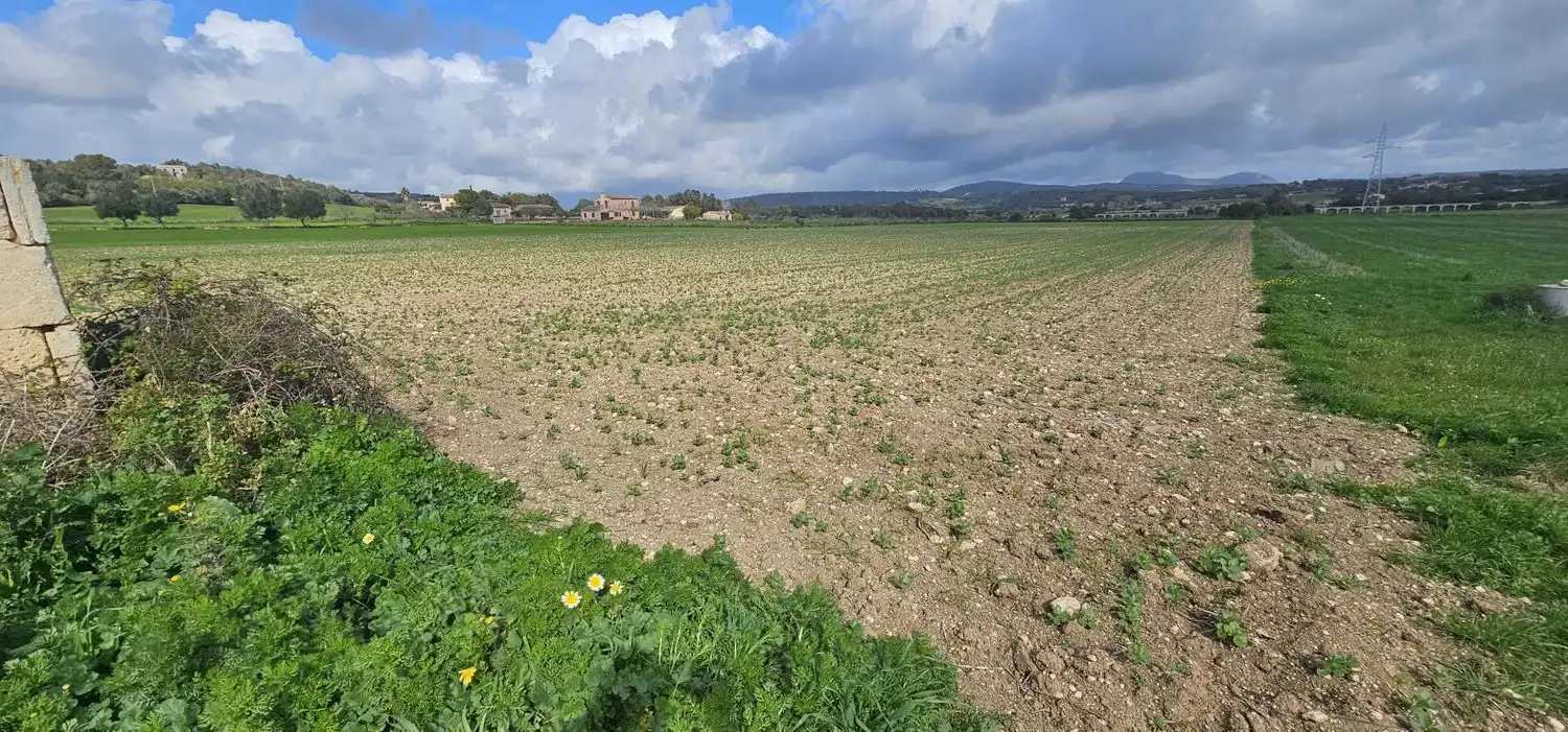 Maison rustique à vendre à Manacor Centre, imagen 7