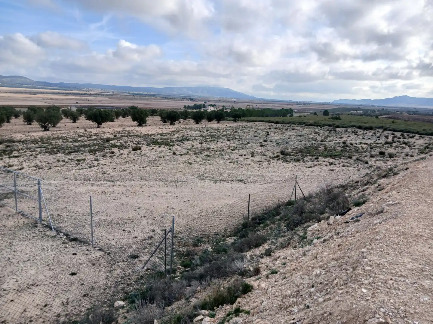Residential land for sale in Yecla, imagen 34
