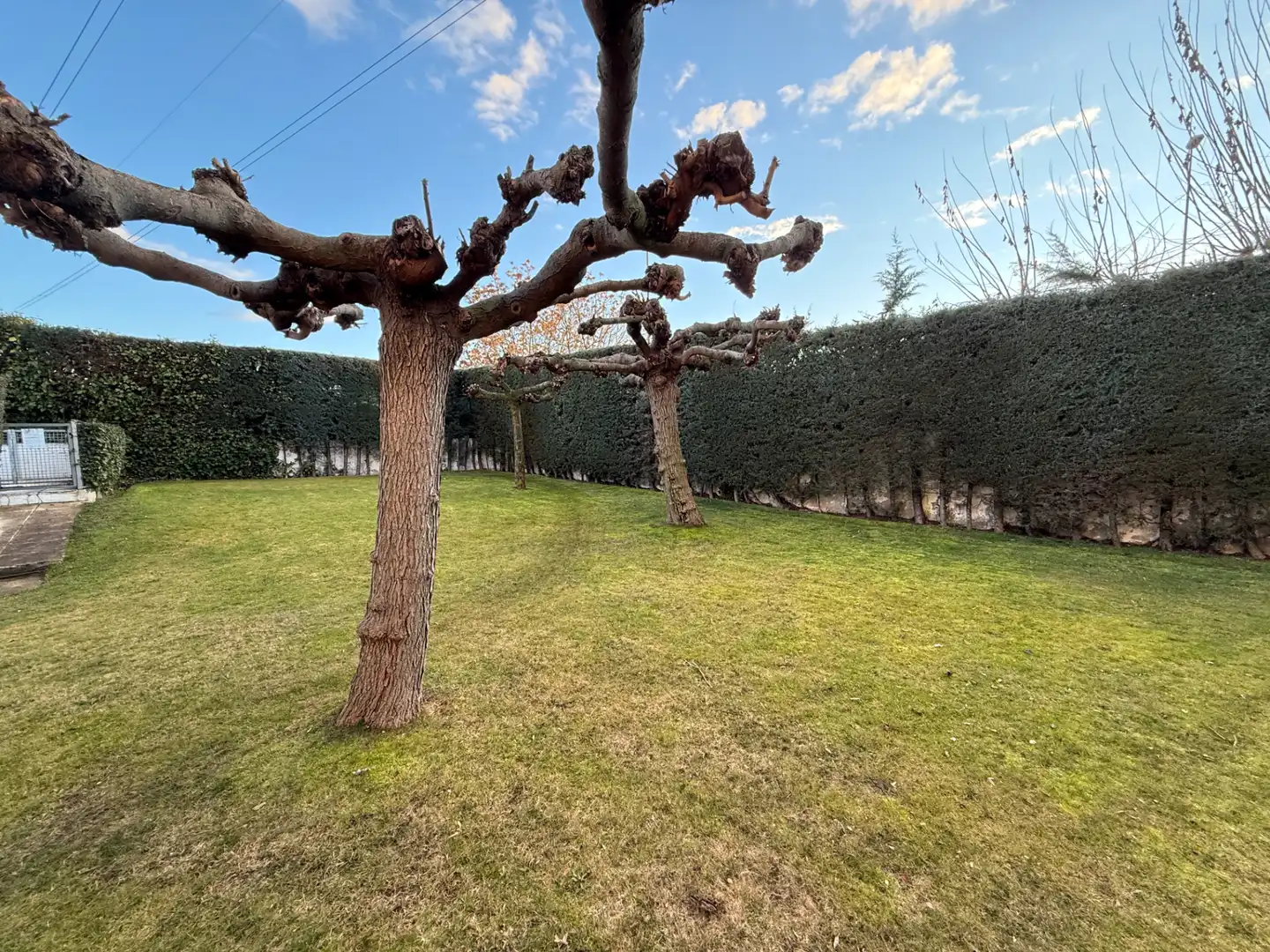 Jardín de Casa o chalet en venta en Galapagar con Calefacción, Jardín privado y Terraza