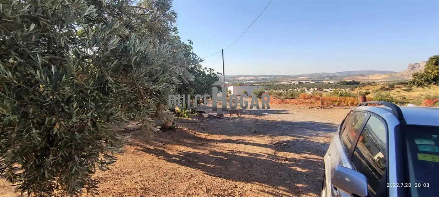 Finca rústica en venda en Antequera