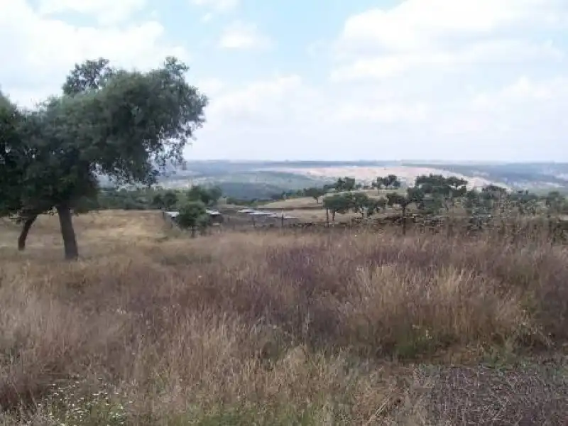 Terreni e lotti in vendita a Alcántara, imagen 20
