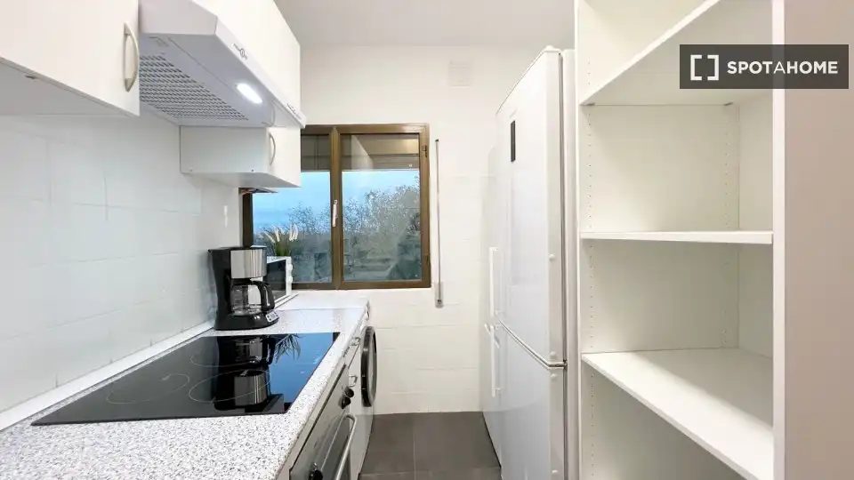 Kitchen of Flat for rent in Madrid  with Air Conditioner, Heating and Furnished