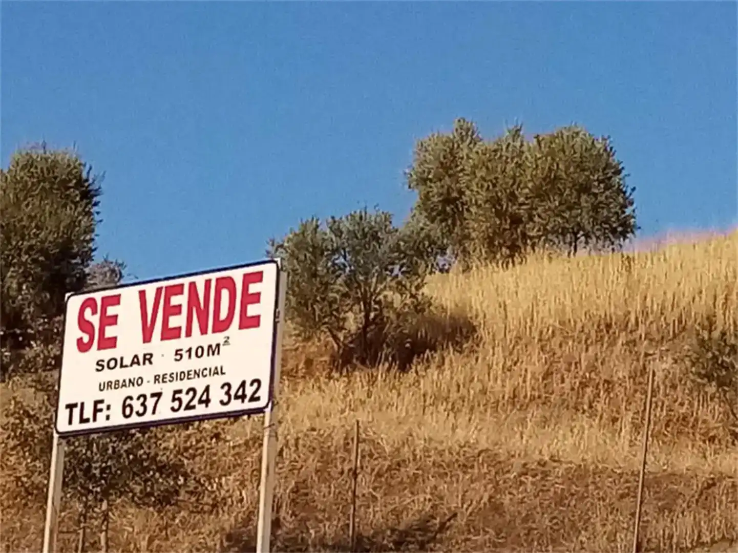 Land for sale in Algámitas