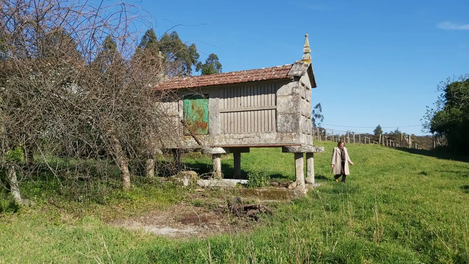 Casa rústica amb terrassa en venda a Lugar Cabreiro-Tremoedo 3A, imagen 8