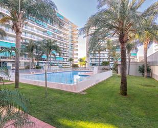 Piscina de Apartament en venda en Gandia amb Terrassa