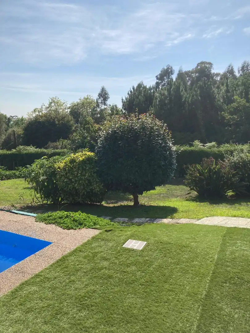 Jardí de Casa o xalet en venda en Dorneda