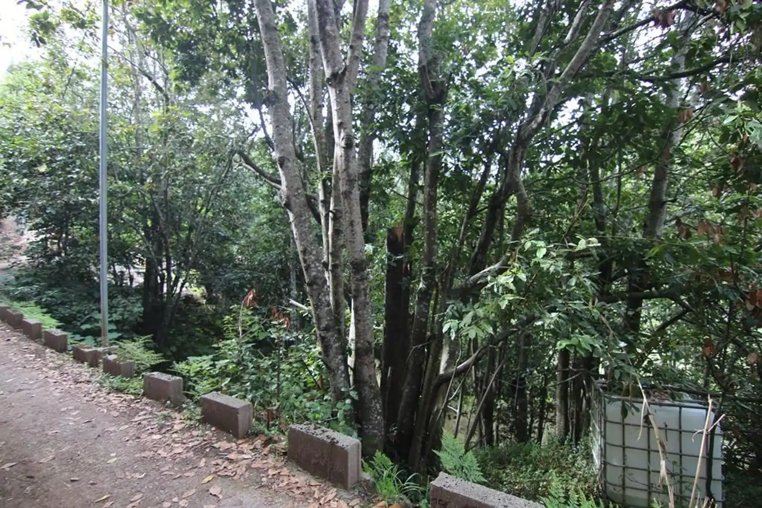 Vista exterior de Terreno en venta en Valleseco