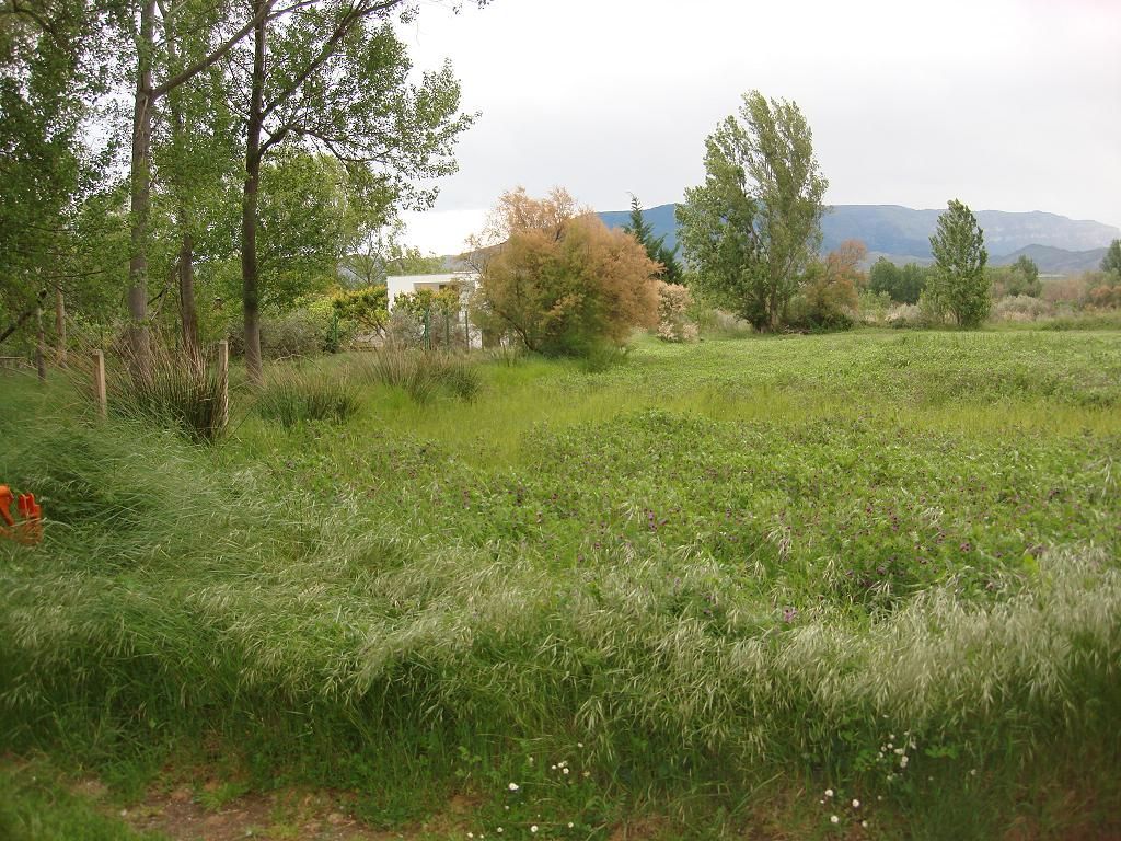 Land for sale in Ribafrecha